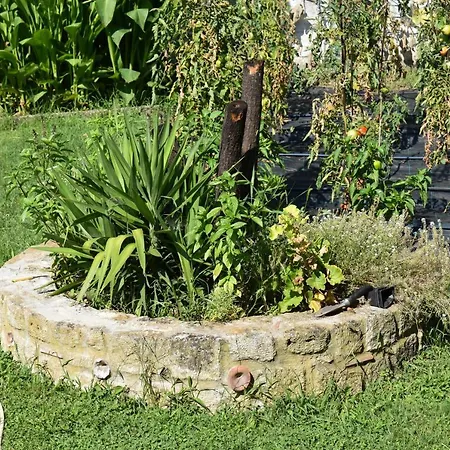 Apartment Maro Afytos דירה אפיטוס